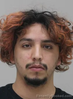 Mugshot of GIL ZAMORA booked in Dallas County, Texas on April 14, 2026