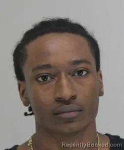 Mugshot of DKAYLEN MCNARY booked in Dallas County, Texas on April 14, 2026