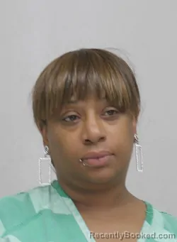 Mugshot of DANA HAYNES booked in Dallas County, Texas on April 14, 2026