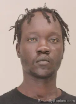 Mugshot of BOLUS CHOL booked in Dallas County, Texas on April 14, 2026