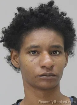 Mugshot of BRIANNA GRIFFIN booked in Dallas County, Texas on April 15, 2026