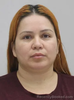 Mugshot of ROXANA DIAZORTIZ booked in Dallas County, Texas on April 15, 2026