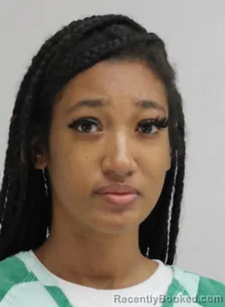 Mugshot of TYLA KING booked in Dallas County, Texas on April 15, 2026