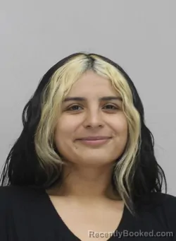 Mugshot of MARISOL HERNADEZ booked in Dallas County, Texas on April 15, 2026