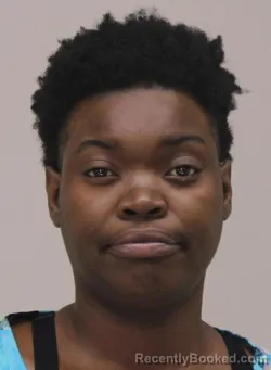 Mugshot of EVA JOHNSON booked in Dallas County, Texas on April 15, 2026