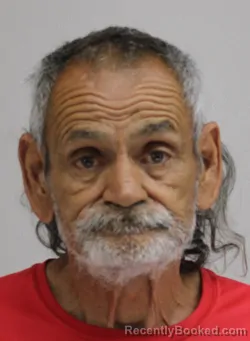 Mugshot of ANDY PARADISE booked in Dallas County, Texas on April 15, 2026