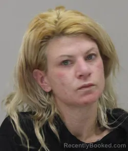 Mugshot of BRITTNEY HUBBARD booked in Dallas County, Texas on April 16, 2026