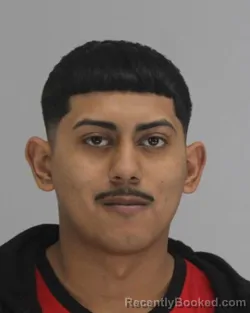 Mugshot of ALEXIS ISABELESTEVANE booked in Dallas County, Texas on April 16, 2026