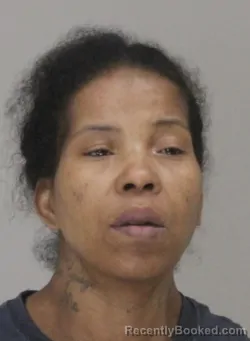 Mugshot of DARLENE KING booked in Dallas County, Texas on April 16, 2026