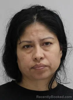 Mugshot of MARIA ESQUIVEL booked in Dallas County, Texas on April 16, 2026