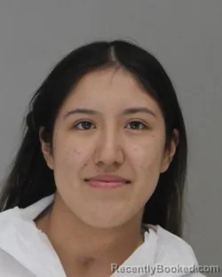 Mugshot of ELIZABETH FULLER booked in Dallas County, Texas on April 16, 2026