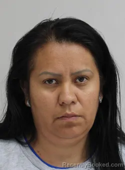 Mugshot of NAYELI PRESTEGUICASTRO booked in Dallas County, Texas on April 16, 2026