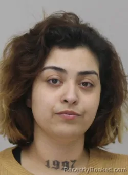 Mugshot of JESSIDEY ROSALES booked in Dallas County, Texas on April 16, 2026