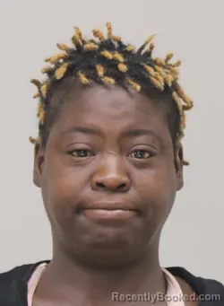 Mugshot of BRITTANY STEWART booked in Dallas County, Texas on April 16, 2026