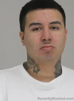 Mugshot of DAMIAN TELLO booked in Dallas County, Texas on April 16, 2026