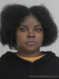 Mugshot of CANDICE PAYNE booked in Dallas County, Texas on April 16, 2026