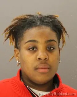 Mugshot of DEKYRA HAWKINS booked in Dallas County, Texas on April 17, 2026