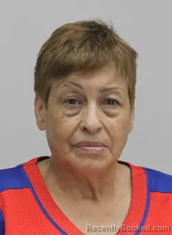 Mugshot of AMALIA SANTILLAN booked in Dallas County, Texas on April 17, 2026