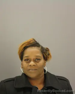 Mugshot of SANDRA HARPER booked in Dallas County, Texas on April 17, 2026