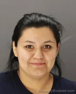 Mugshot of YOVANNA TORRES booked in Dallas County, Texas on April 17, 2026