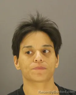 Mugshot of ERICA PEREZ booked in Dallas County, Texas on April 17, 2026
