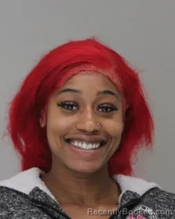 Mugshot of DERQUISA TAYLOR booked in Dallas County, Texas on April 17, 2026