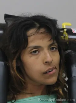 Mugshot of MIRIAM PEREZ booked in Dallas County, Texas on April 18, 2026