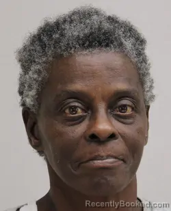 Mugshot of SENETRA COOKS booked in Dallas County, Texas on April 18, 2026