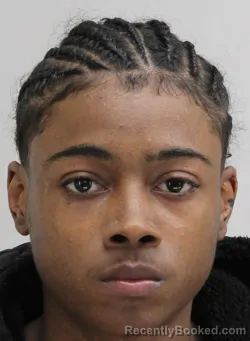 Mugshot of ZORIYHAN STAFFORDWILLIAMS booked in Dallas County, Texas on April 18, 2026