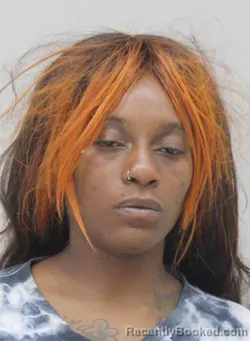 Mugshot of LASHARIA WALKER booked in Dallas County, Texas on April 18, 2026