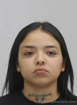 Mugshot of MISSY MELGARFUNEZ booked in Dallas County, Texas on April 18, 2026