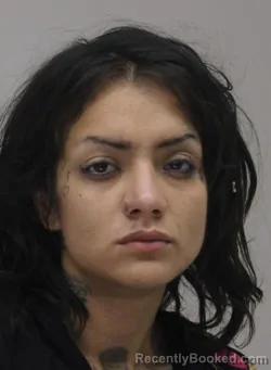 Mugshot of JESSICA TORRES booked in Dallas County, Texas on April 18, 2026