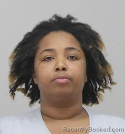 Mugshot of ASHLEY PRICE booked in Dallas County, Texas on April 19, 2026