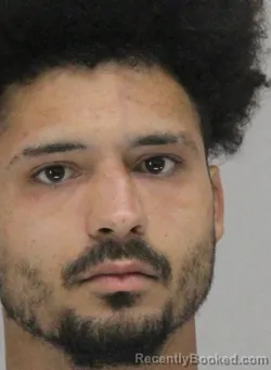 Mugshot of CHRISTOPHER MIECZKOWSKI booked in Dallas County, Texas on April 19, 2026