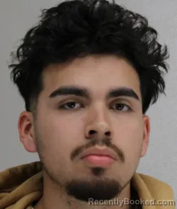 Mugshot of JOAQUIN LAUREANO booked in Dallas County, Texas on April 19, 2026