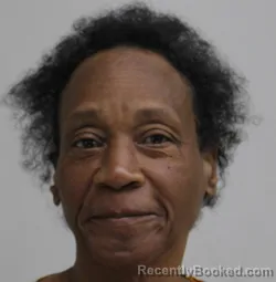 Mugshot of MATTIE WILLIAMS booked in Dallas County, Texas on April 19, 2026