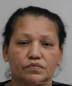 Mugshot of YANETH PINAROJAS booked in Dallas County, Texas on April 19, 2026