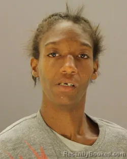 Mugshot of PRECIOUS BAILEY booked in Dallas County, Texas on April 19, 2026