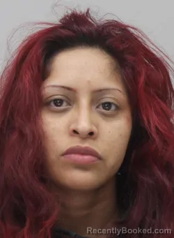 Mugshot of KARMIRY BECERRA booked in Dallas County, Texas on April 19, 2026