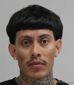 Mugshot of FEDERICO FLORESCLAUDIO booked in Dallas County, Texas on April 20, 2026
