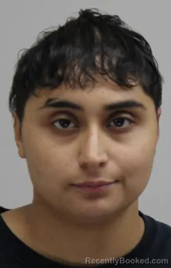 Mugshot of SAYDA RAMOS booked in Dallas County, Texas on May 9, 2026
