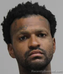 Mugshot of TAYLOR GREENHOUSE booked in Dallas County, Texas on May 9, 2026