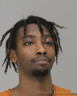 Mugshot of Melalex Magee