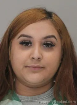 Mugshot of DANIELA ANCHETA booked in Dallas County, Texas on May 11, 2026