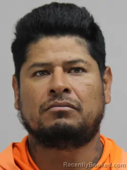 Mugshot of MARIO TORRESFAVELA booked in Dallas County, Texas on May 11, 2026