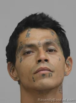 Mugshot of LUIS TRUJILLO booked in Dallas County, Texas on May 13, 2026