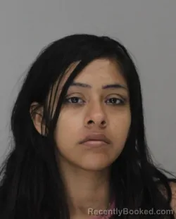 Mugshot of JACQUELINE CAMARGO booked in Dallas County, Texas on May 16, 2026