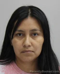 Mugshot of BRENDA ALVAREZ RAMOS booked in Dallas County, Texas on May 29, 2026
