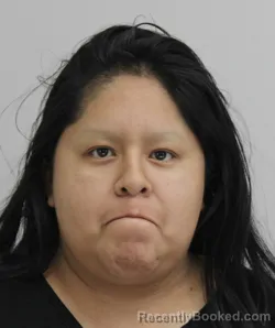 Mugshot of EVELYN PENABARQUERA booked in Dallas County, Texas on May 30, 2026