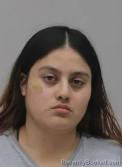 Mugshot of MICHELLE TORRES booked in Dallas County, Texas on May 30, 2026